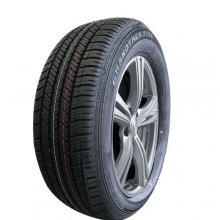 Dunlop GrandTrek PT22